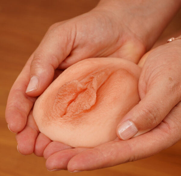 Eine Silikon-Vulva, die in zwei Händen wie in einer Schale gehalten wird